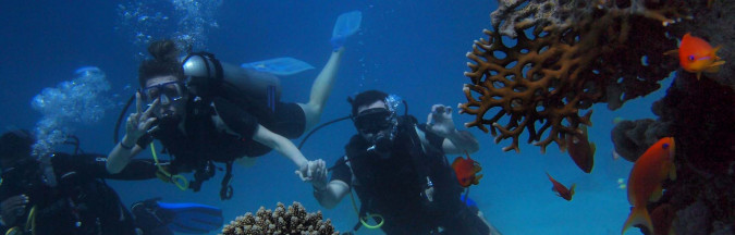 AKTIVNOSTI, Villa Mendula Trogir - Službena web stranica Okrug Gornji