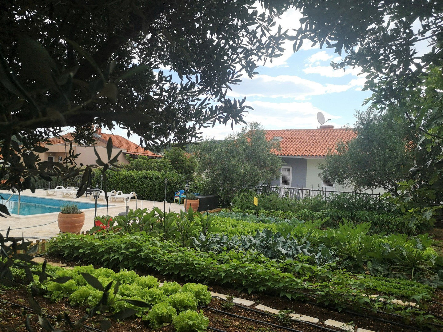 VILLA MENDULA - , Villa Mendula Trogir - Official Website Okrug Gornji